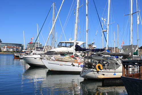 boats in a marina